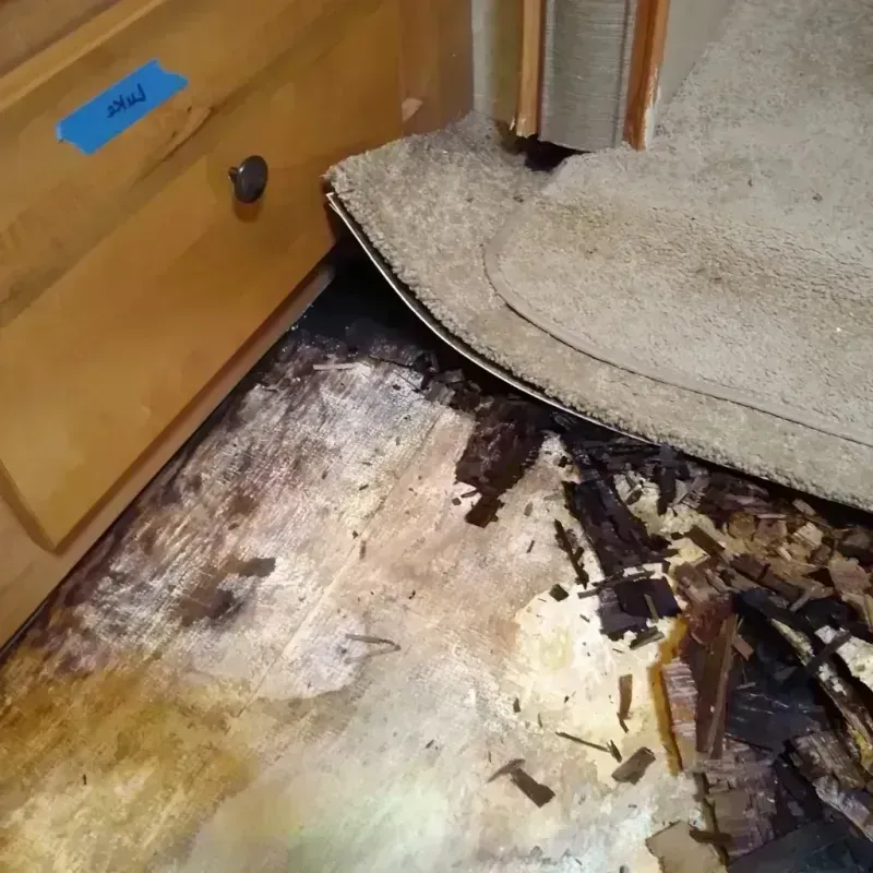 Best Wood Floor Water Damage Service in Lovejoy, GA